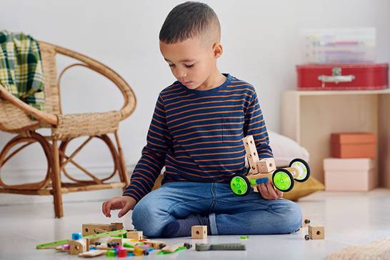 BRIO Builder